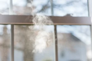wildlife smoke coming indoors without an HVAC filter
